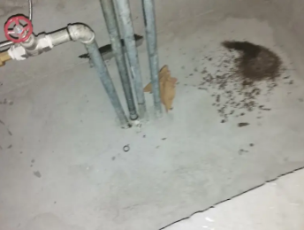 潮南卫生间测漏水价格明细